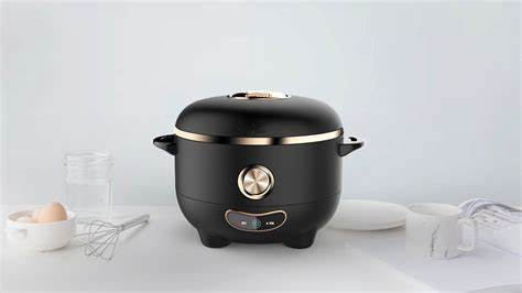 Electric rice cooker